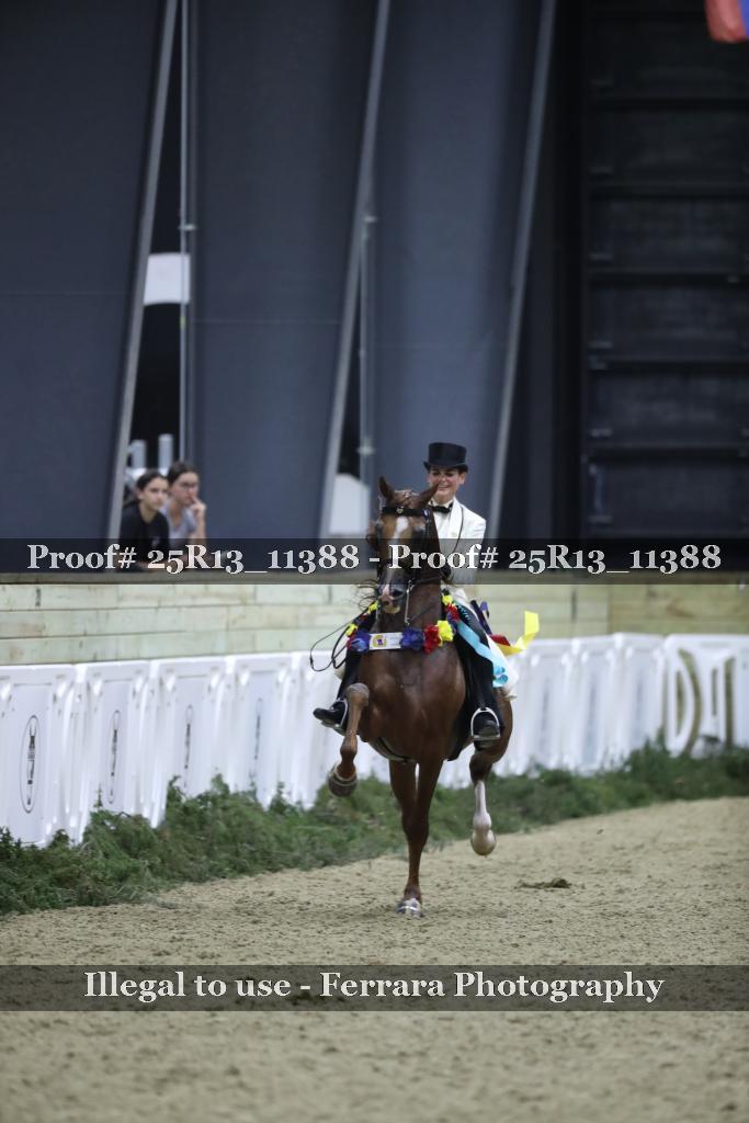 Proof Number 25R13_11388