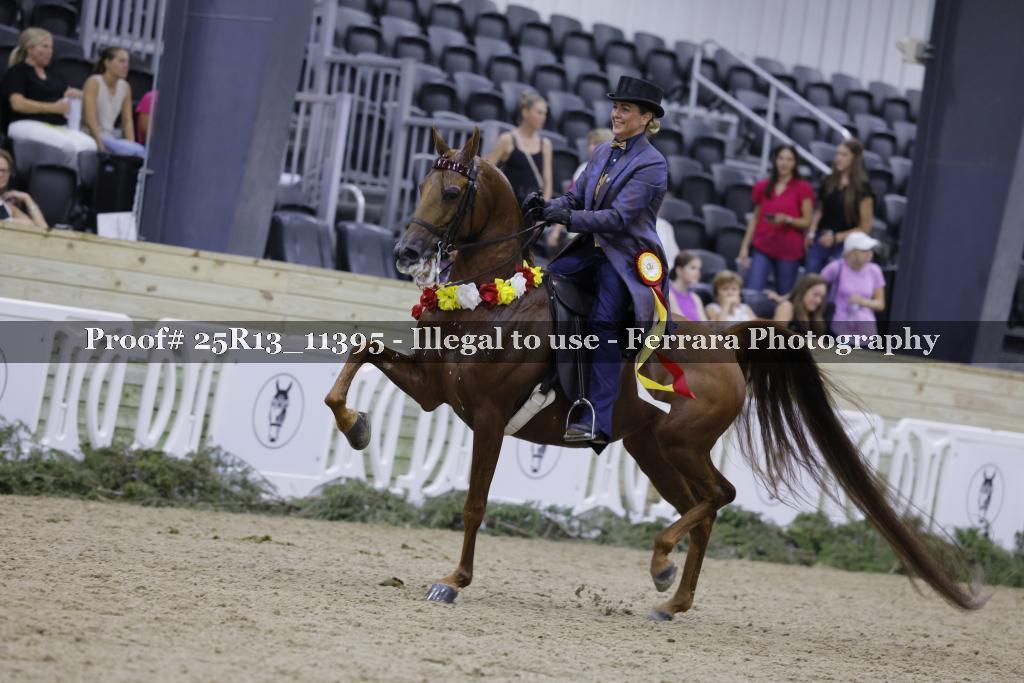Proof Number 25R13_11395