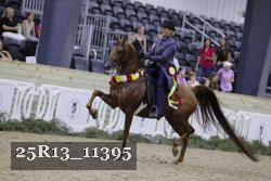 25R13_11395 thumbnail