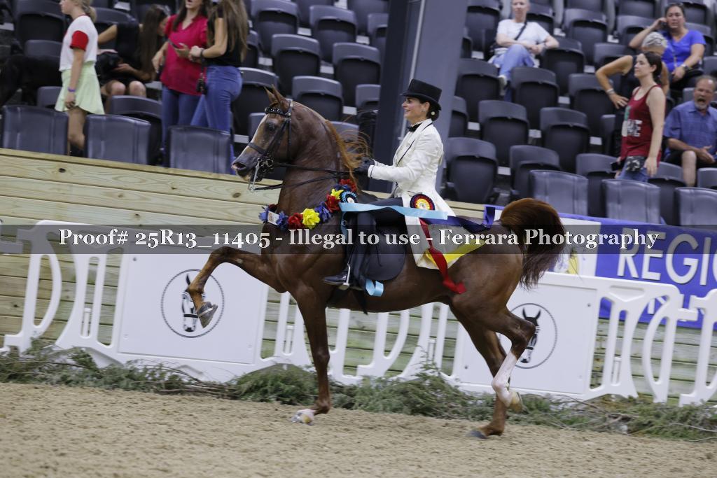 Proof Number 25R13_11405