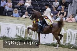 25R13_11407 thumbnail
