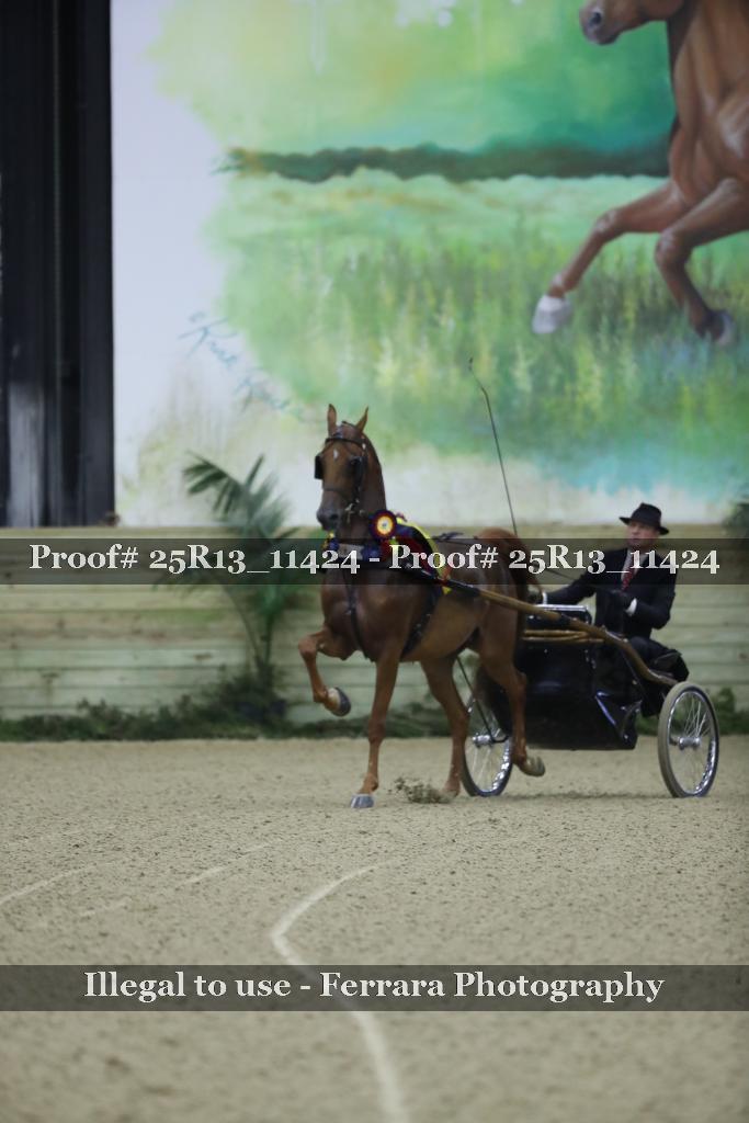 Proof Number 25R13_11424