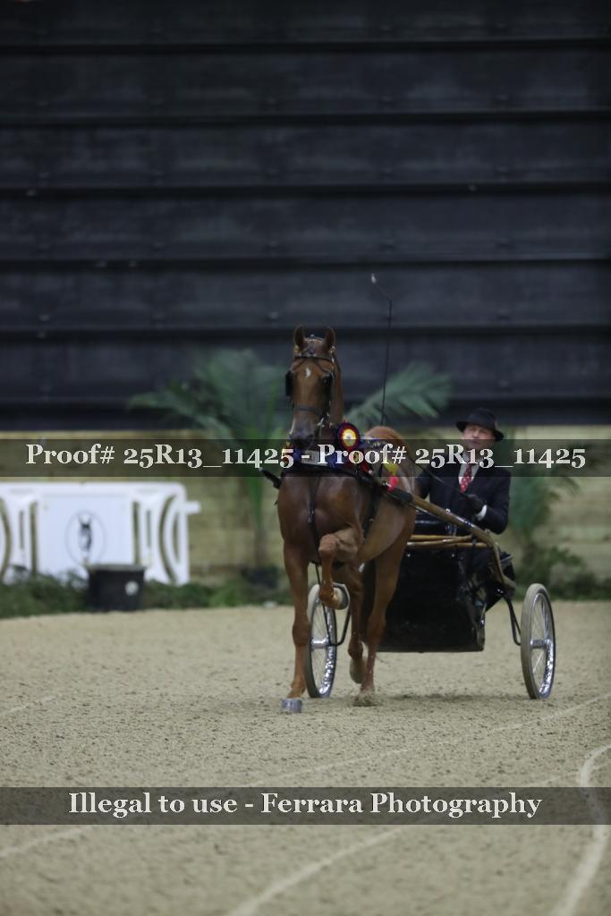 Proof Number 25R13_11425