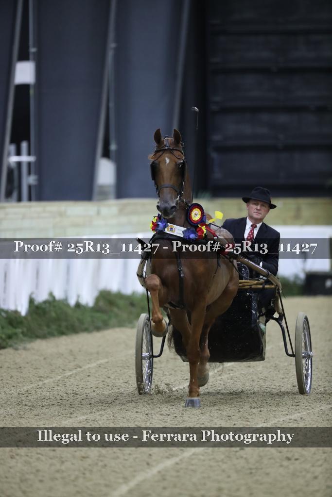 Proof Number 25R13_11427