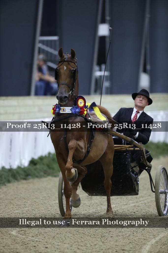 Proof Number 25R13_11428