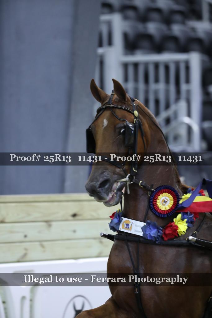 Proof Number 25R13_11431