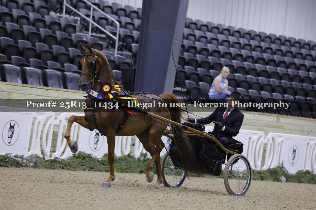 Proof Number 25R13_11434