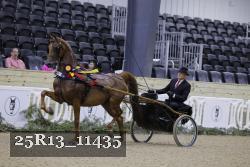 25R13_11435 thumbnail