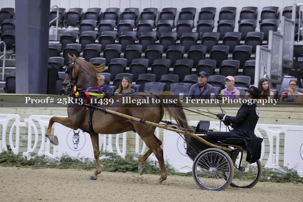 Proof Number 25R13_11439