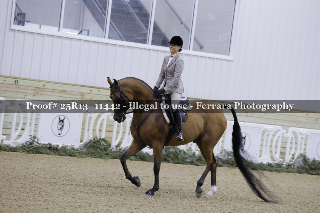 Proof Number 25R13_11442