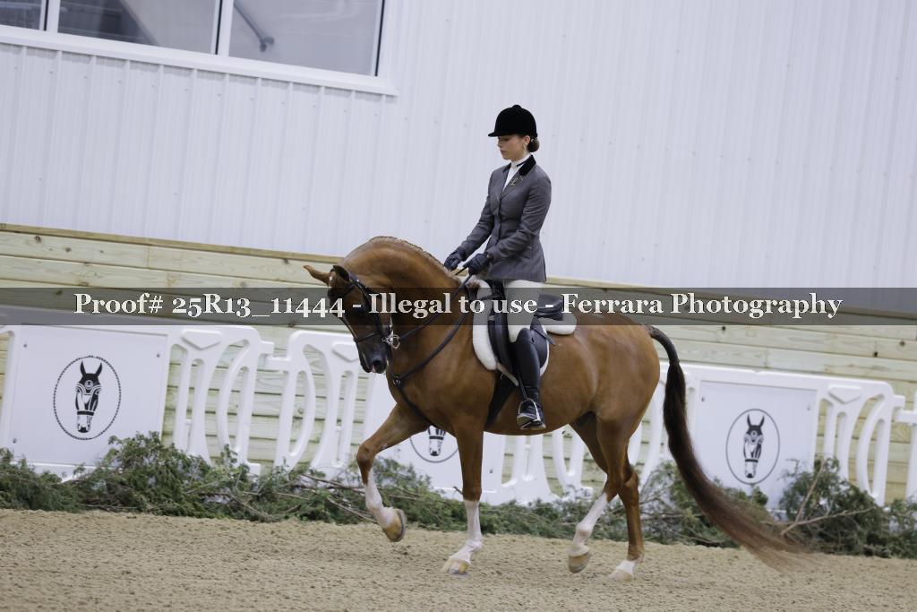 Proof Number 25R13_11444
