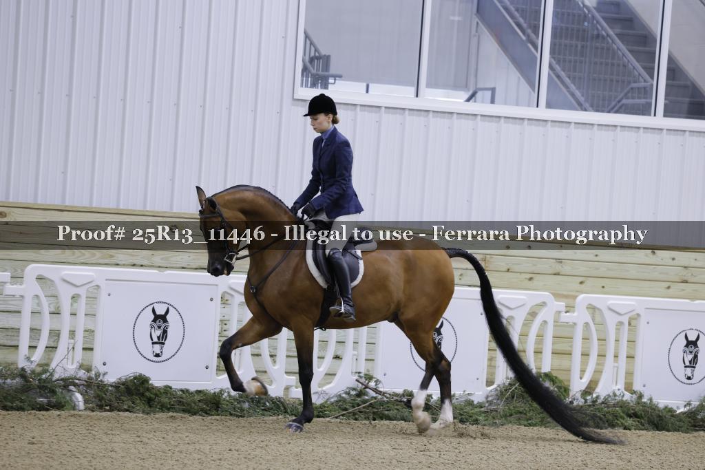 Proof Number 25R13_11446