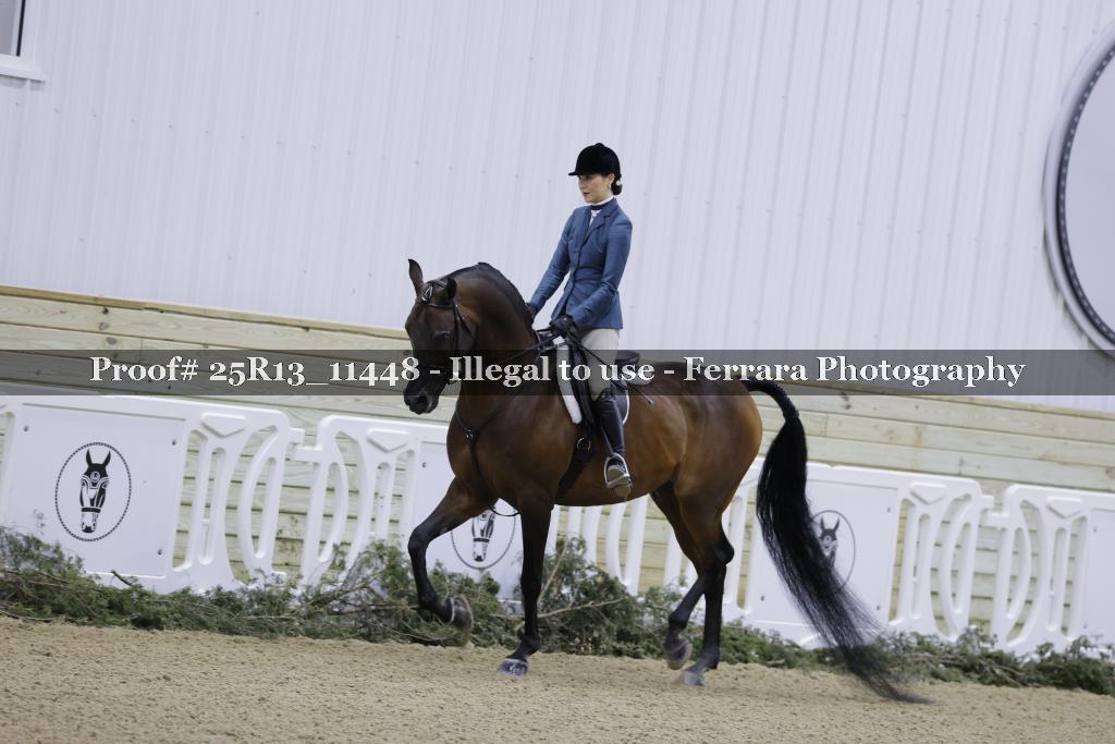 Proof Number 25R13_11448
