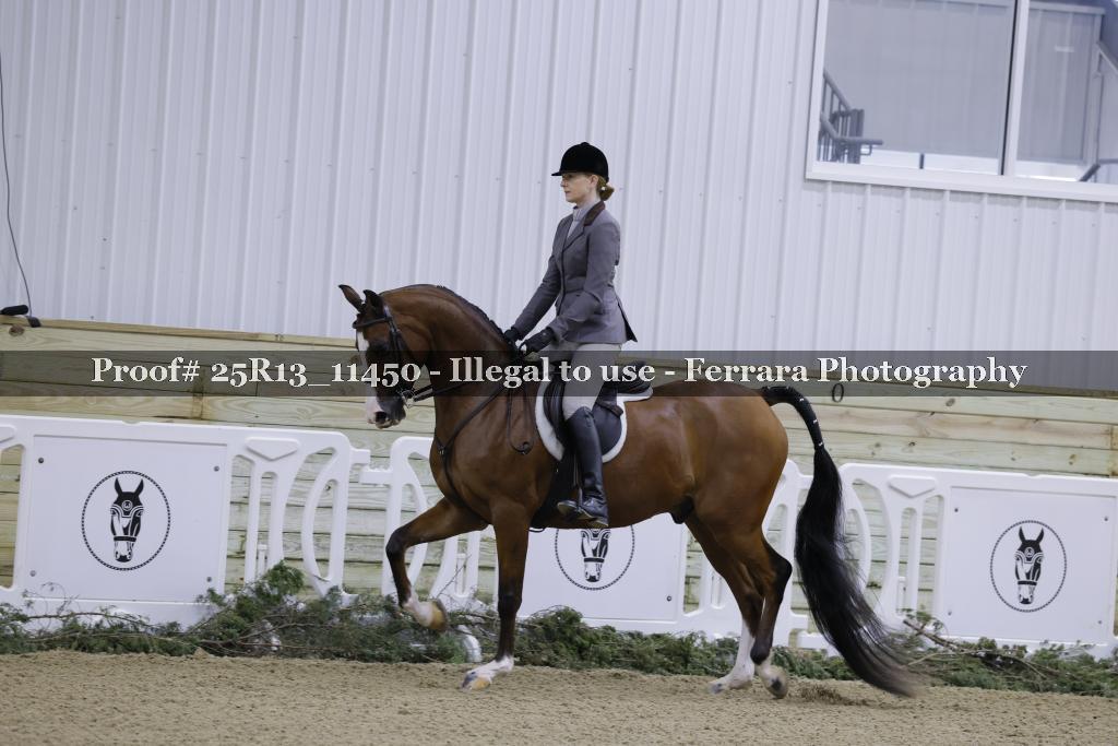 Proof Number 25R13_11450