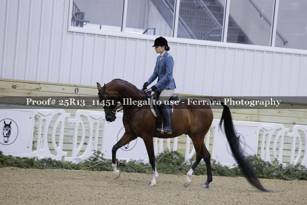 Proof Number 25R13_11451