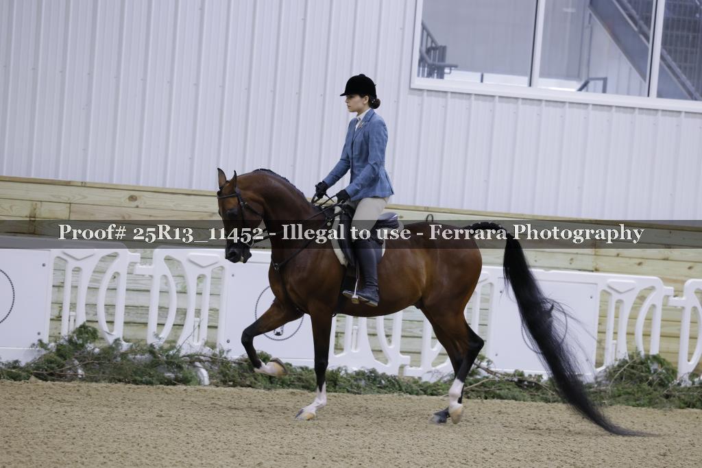 Proof Number 25R13_11452