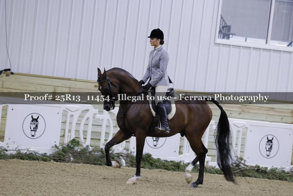 Proof Number 25R13_11454