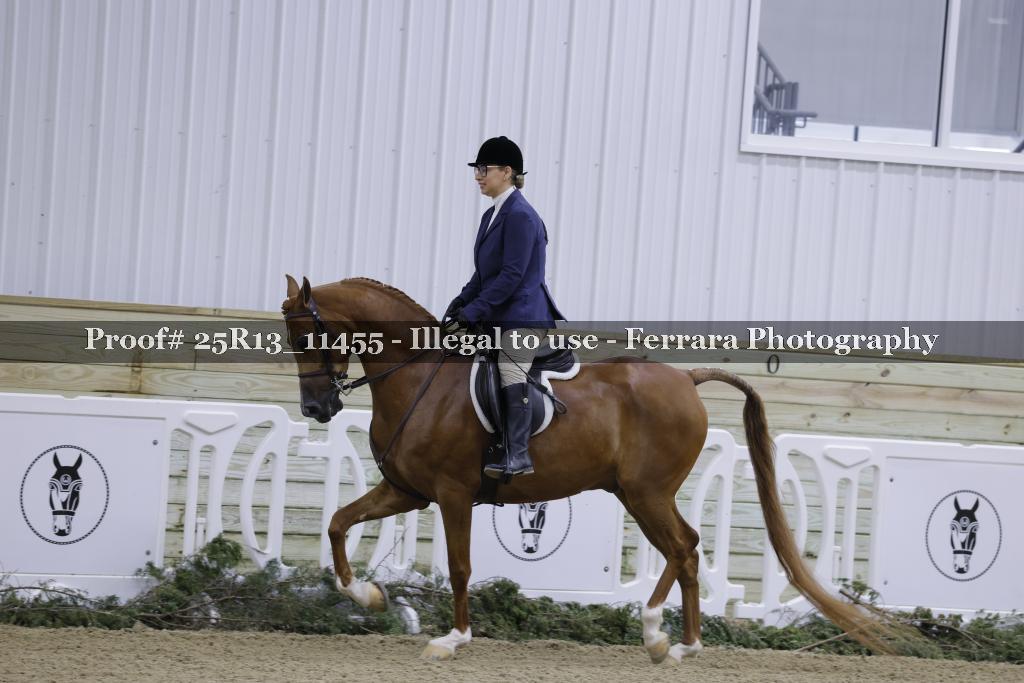 Proof Number 25R13_11455