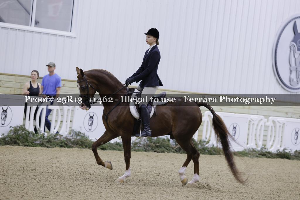 Proof Number 25R13_11462
