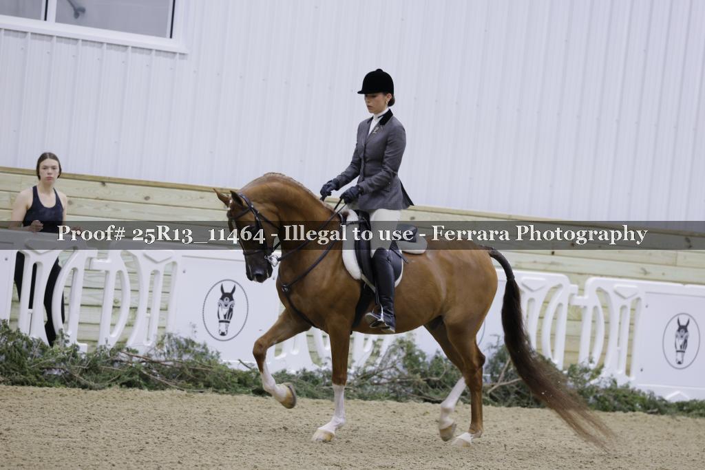 Proof Number 25R13_11464
