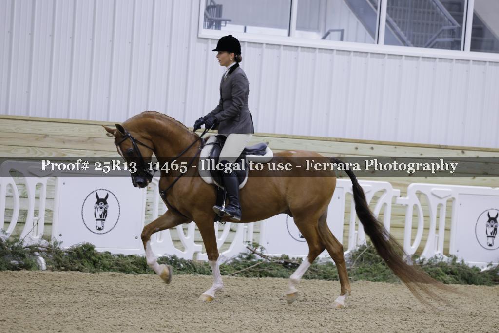 Proof Number 25R13_11465