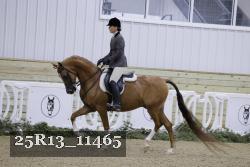 25R13_11465 thumbnail