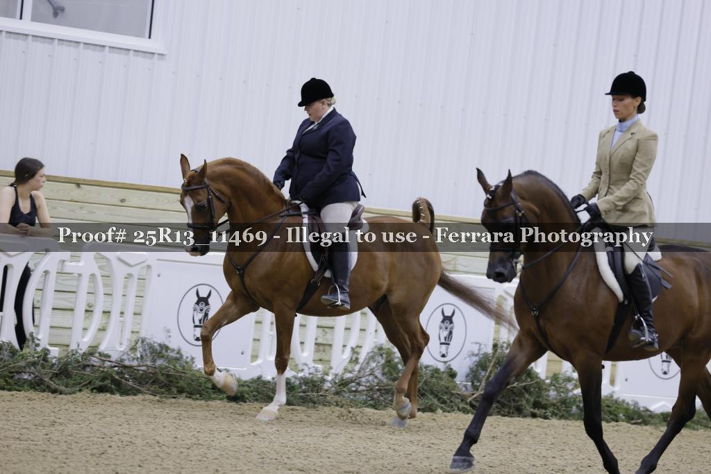 Proof Number 25R13_11469