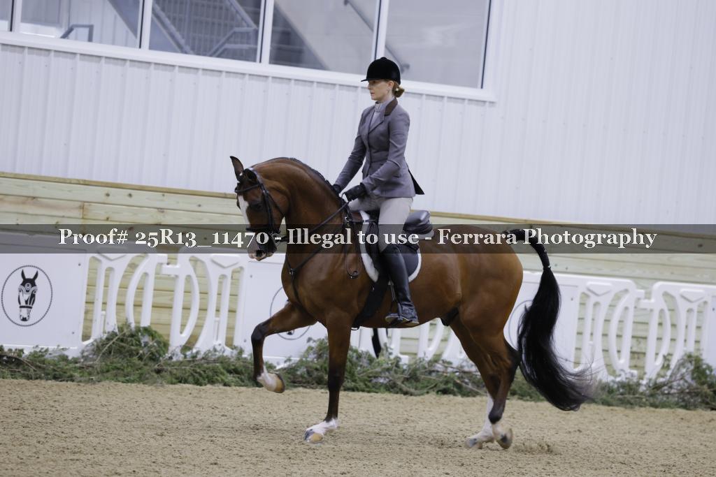 Proof Number 25R13_11470
