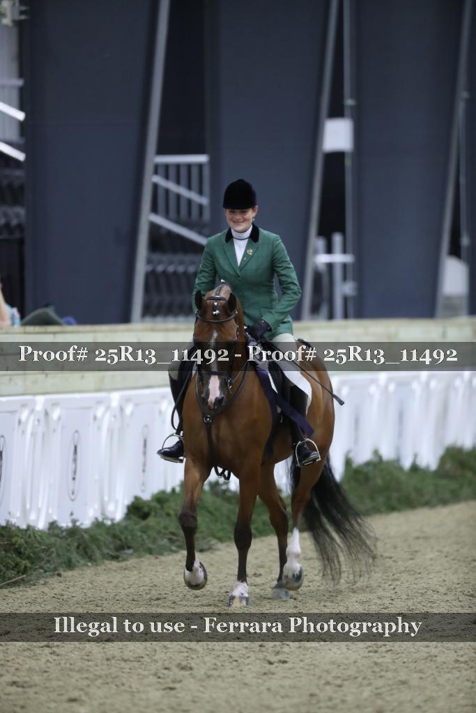 Proof Number 25R13_11492