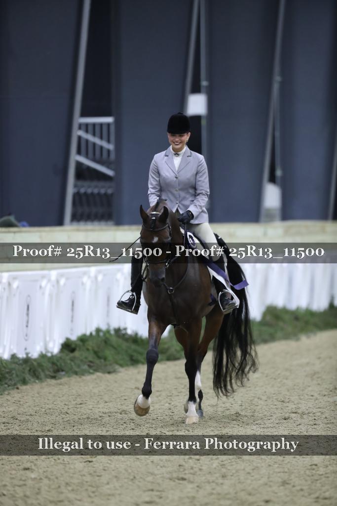Proof Number 25R13_11500