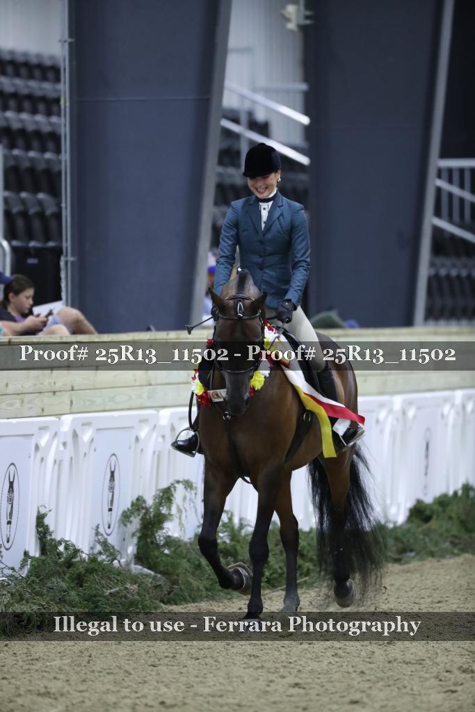 Proof Number 25R13_11502