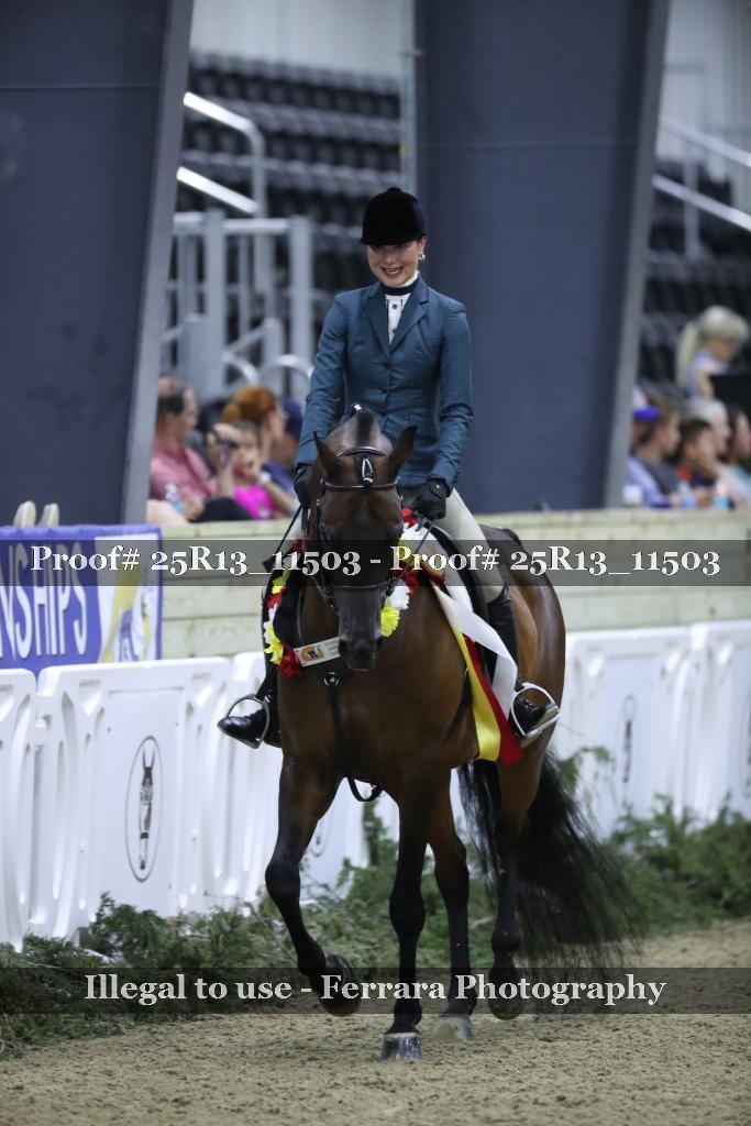 Proof Number 25R13_11503