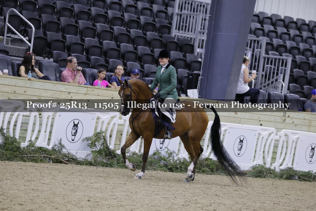 Proof Number 25R13_11505