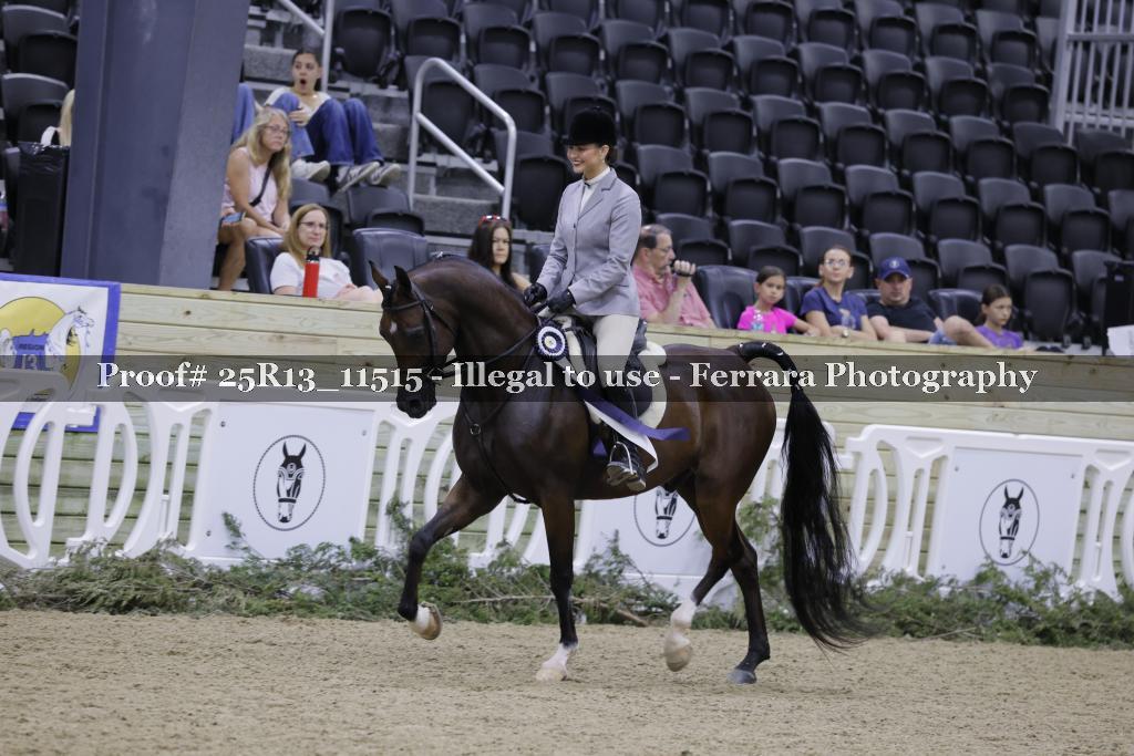 Proof Number 25R13_11515