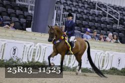 25R13_11525 thumbnail