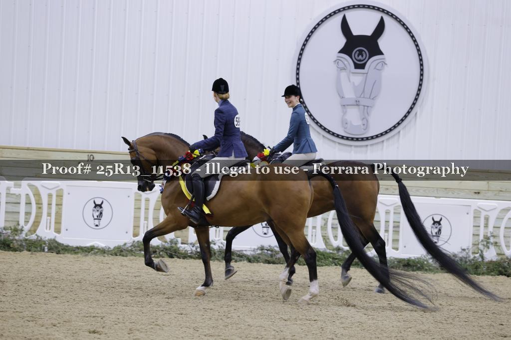 Proof Number 25R13_11538