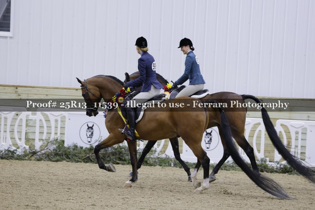 Proof Number 25R13_11539