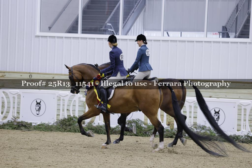 Proof Number 25R13_11541