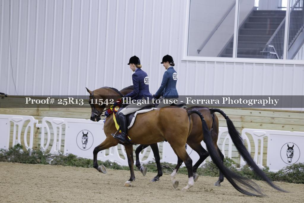 Proof Number 25R13_11542