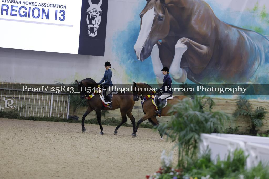 Proof Number 25R13_11543