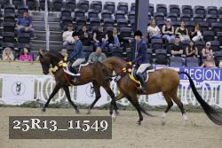 25R13_11549 thumbnail