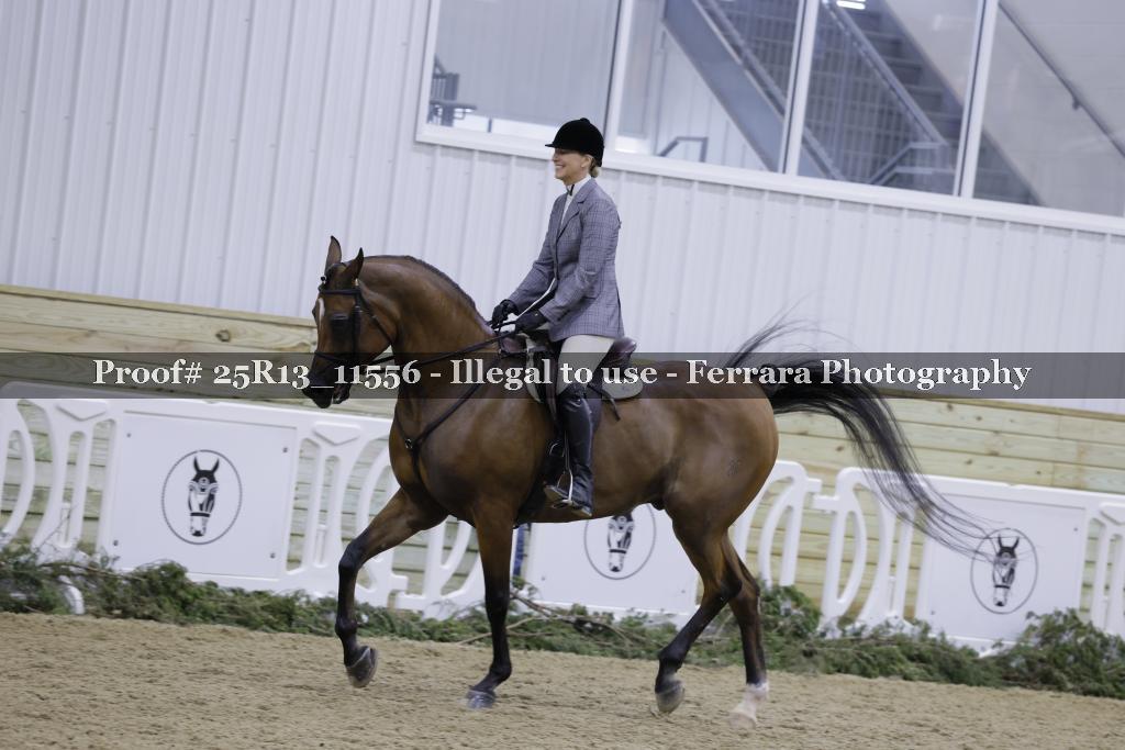 Proof Number 25R13_11556