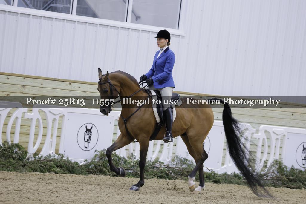 Proof Number 25R13_11557