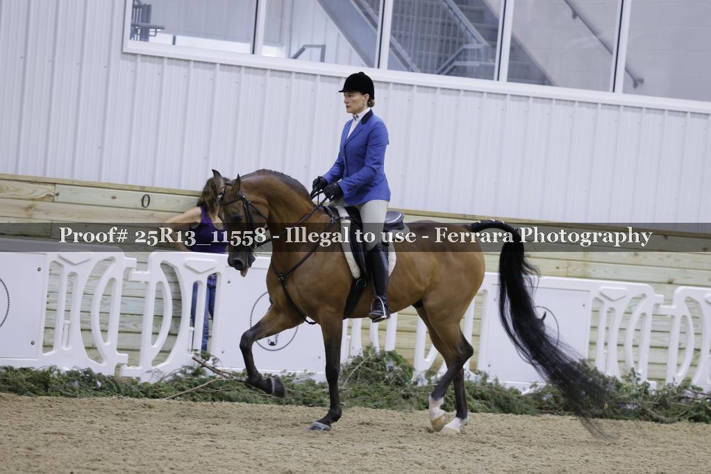 Proof Number 25R13_11558