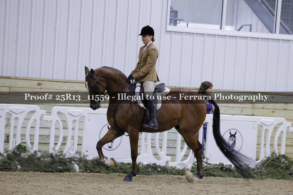 Proof Number 25R13_11559