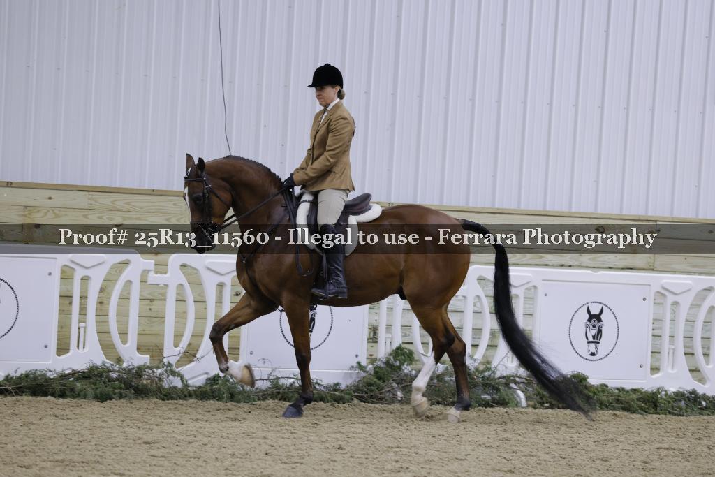 Proof Number 25R13_11560