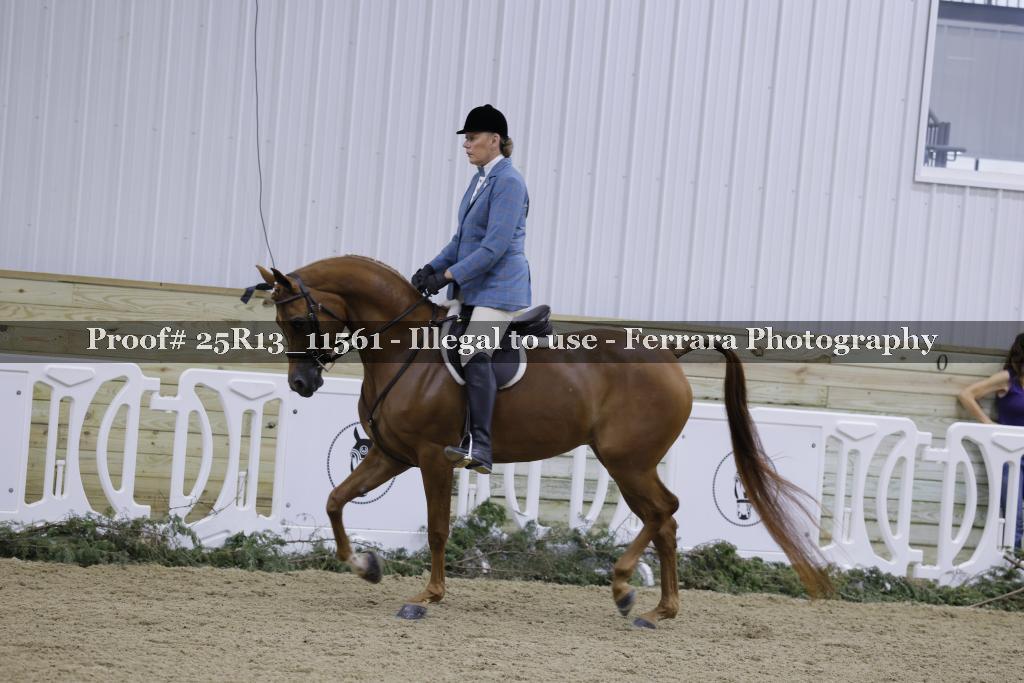 Proof Number 25R13_11561