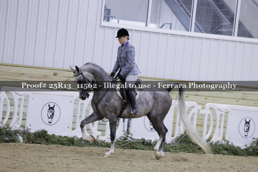 Proof Number 25R13_11562