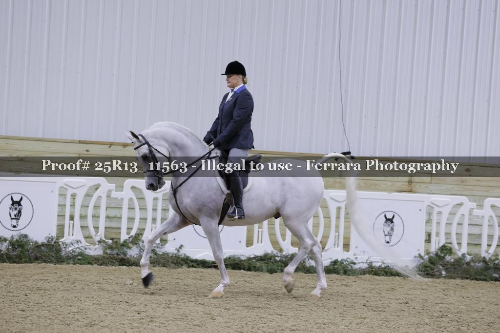 Proof Number 25R13_11563