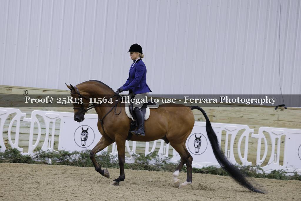 Proof Number 25R13_11564